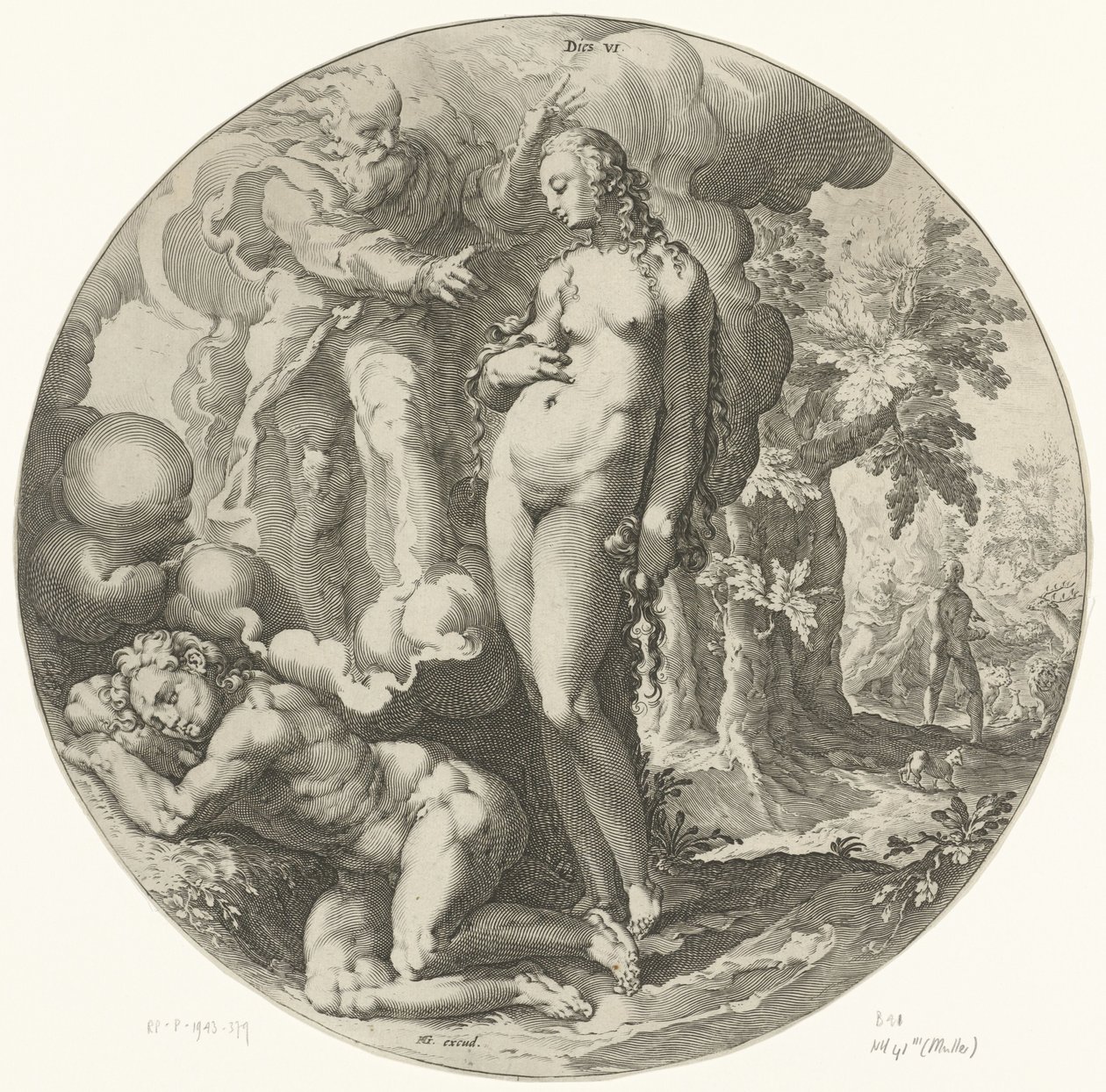 Sixth Day of Creation: Creation of Man by Jan Harmensz. Muller