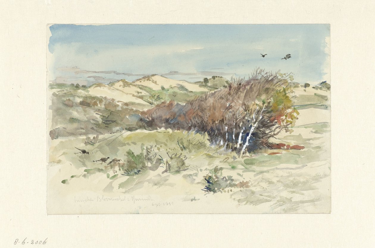 Dune Landscape Between Bloemendaal and IJmuiden by Jan Hoynck van Papendrecht
