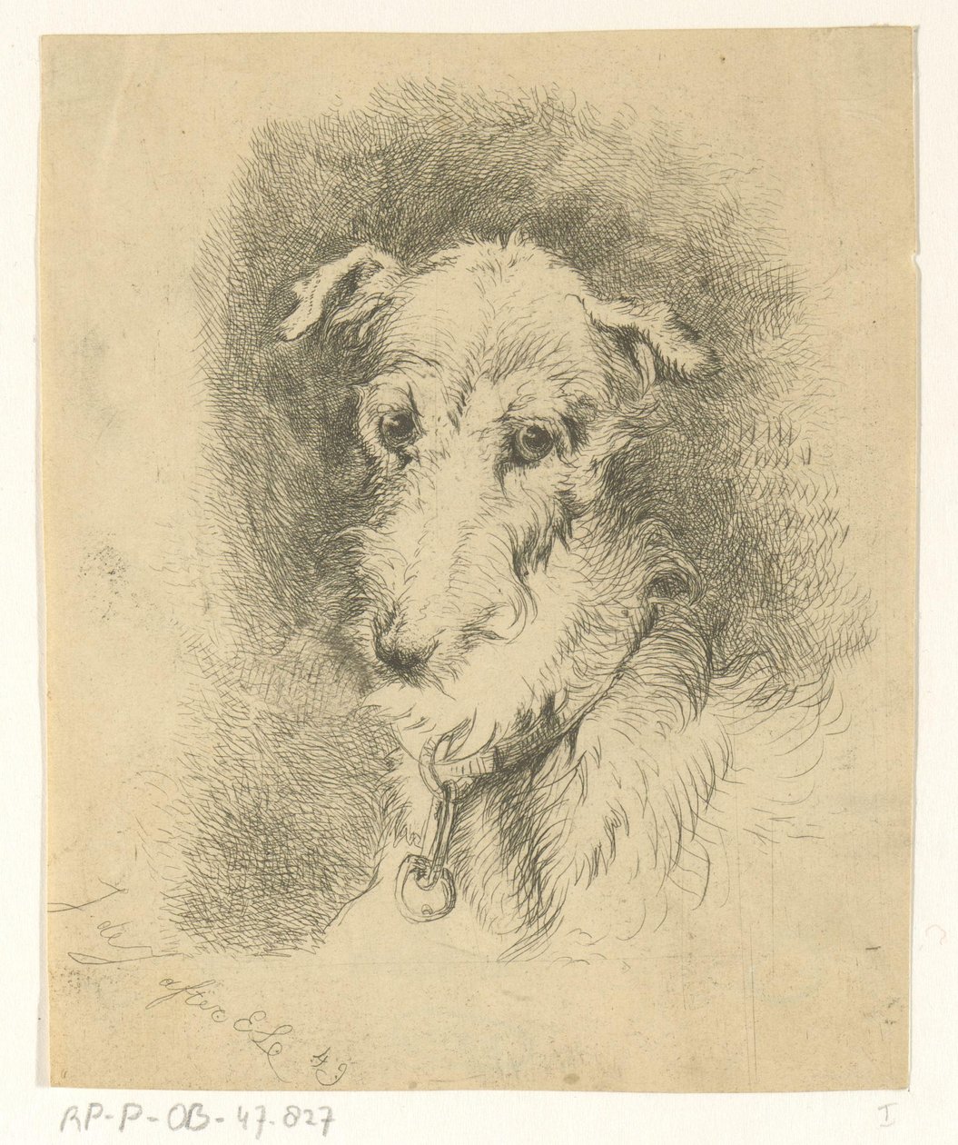 Head of a Greyhound by Jan Karel Jacob de Jonge