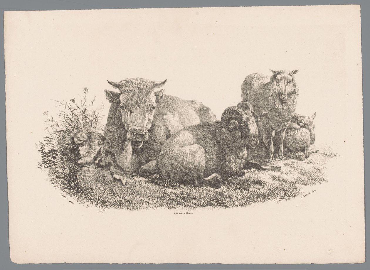 Cow, Ram, and Two Sheep by Jan Kobell (III)