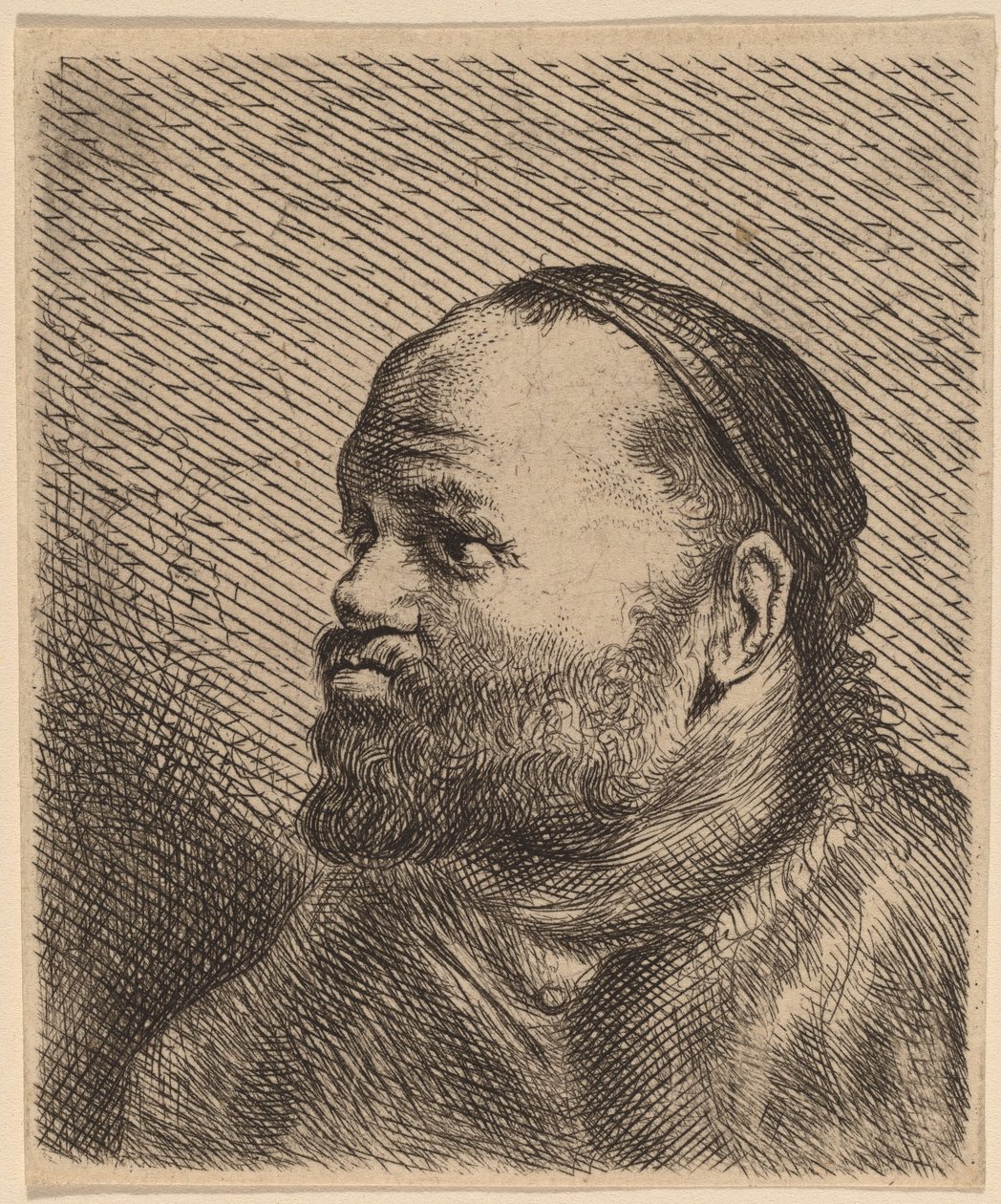 Bust of a Man with Thick Lips by Jan Lievens