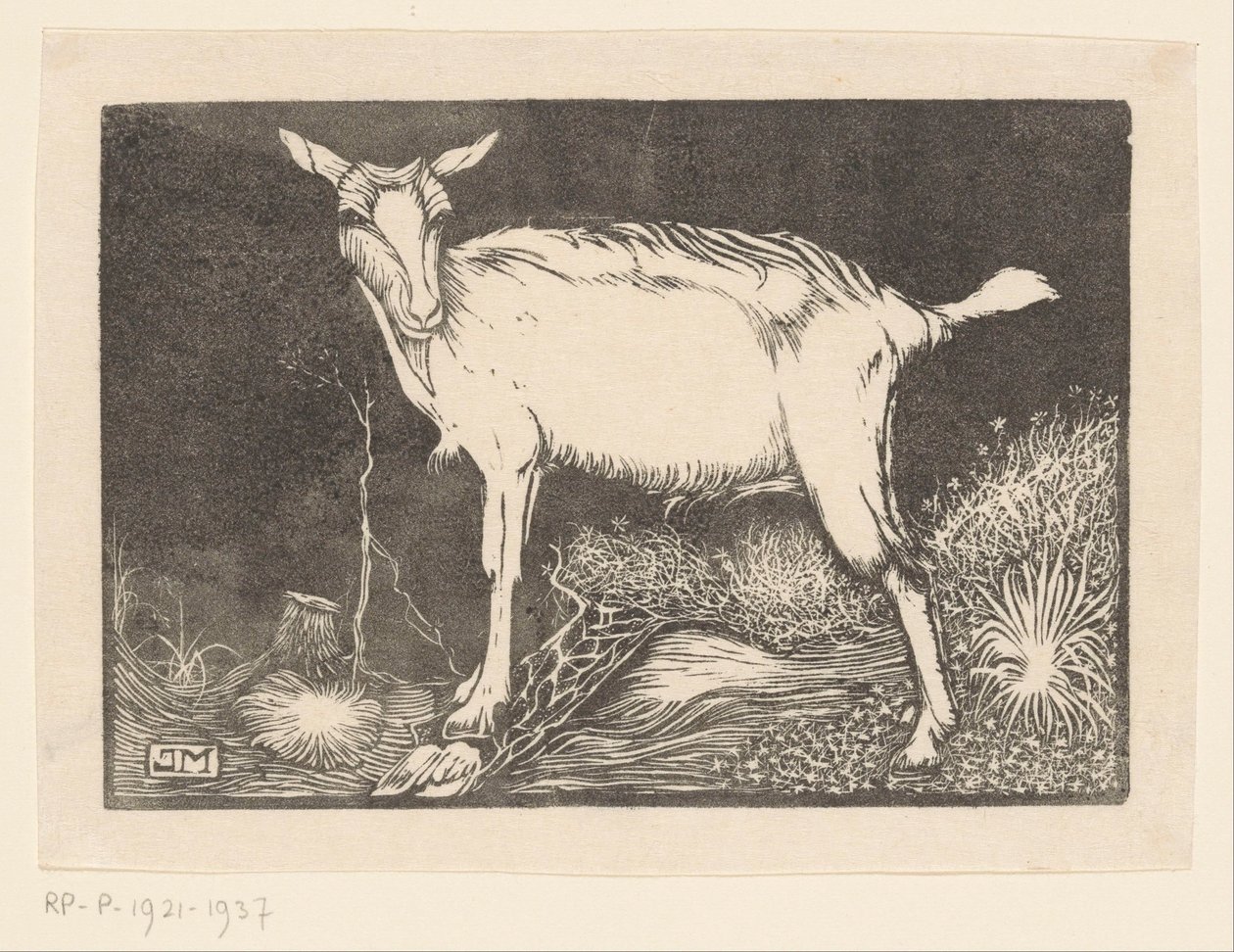 White Goat by Jan Mankes: Premium art reproduction
