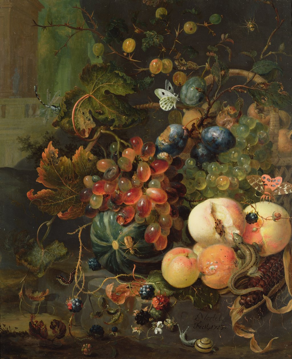 Still Life of Fruit and Insects by Jan Mortel