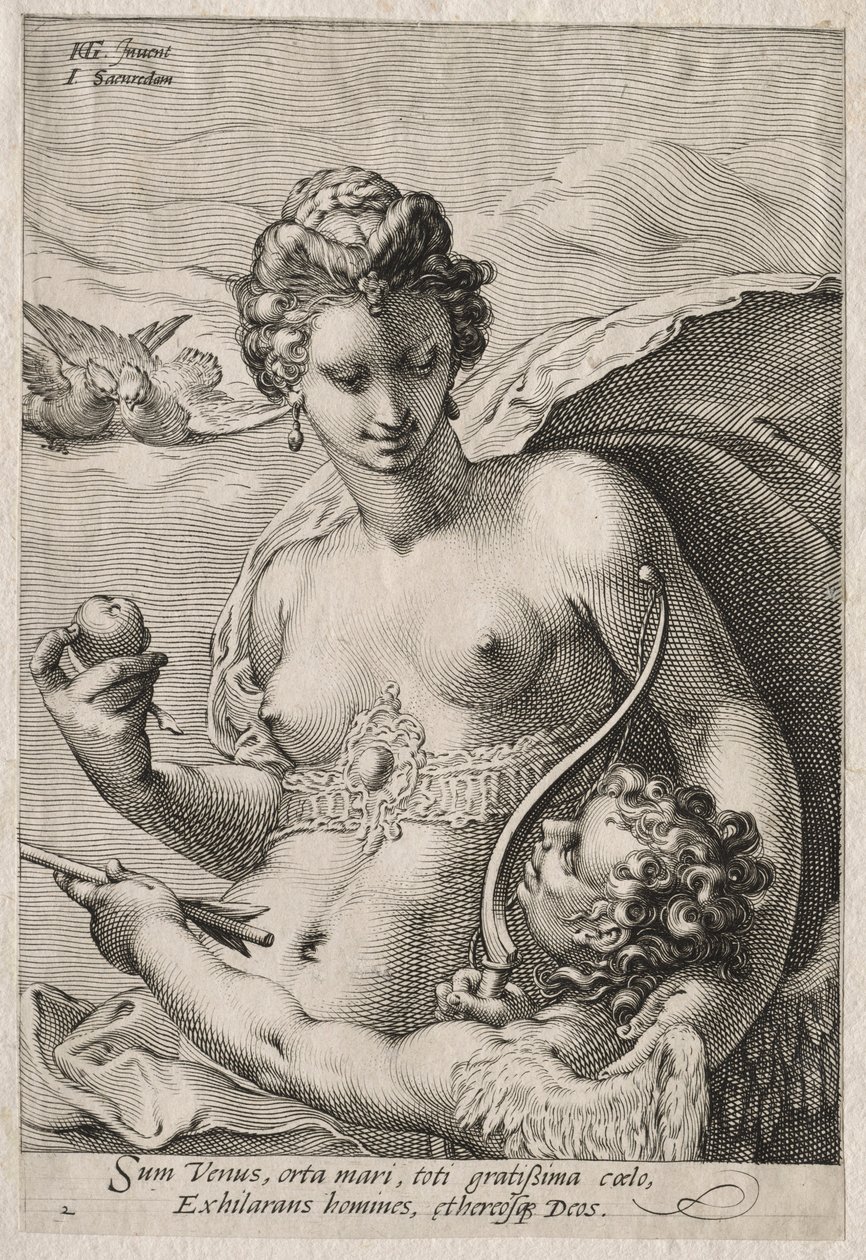 Venus and Cupid by Jan Saenredam