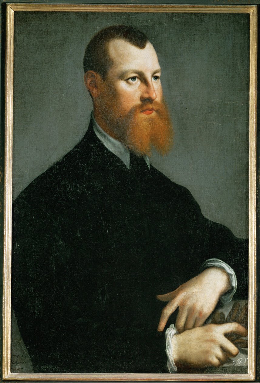 Portrait of a Man with Red Beard by Jan Stephen Calcar