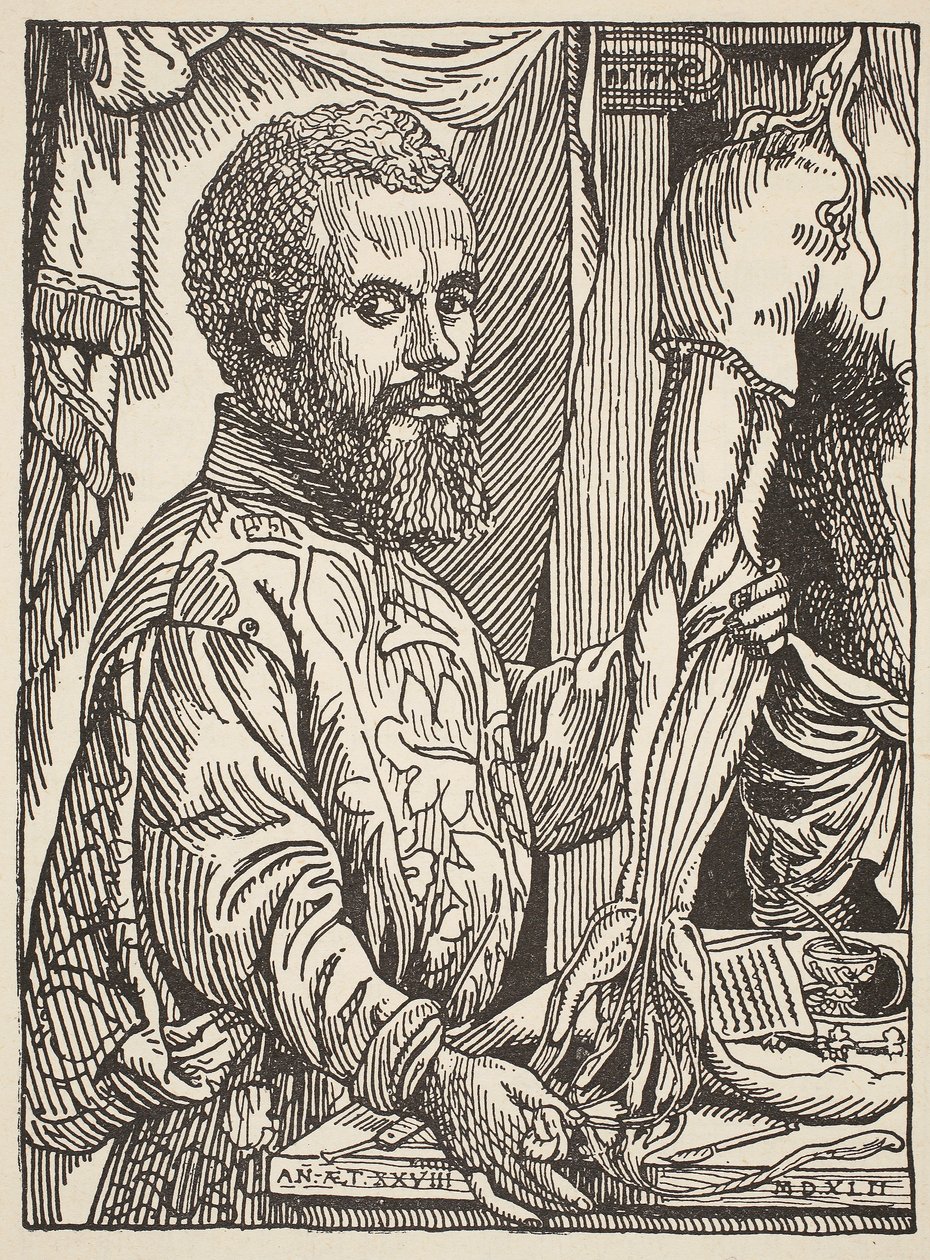 Andre Vesale, copy by Boris Mestchersky, illustration from Histoire de la Nation Francaise, Sciences, Volumes I and II, by Gabriel Hanotaux, 1924 by Jan Stephen van Calcar