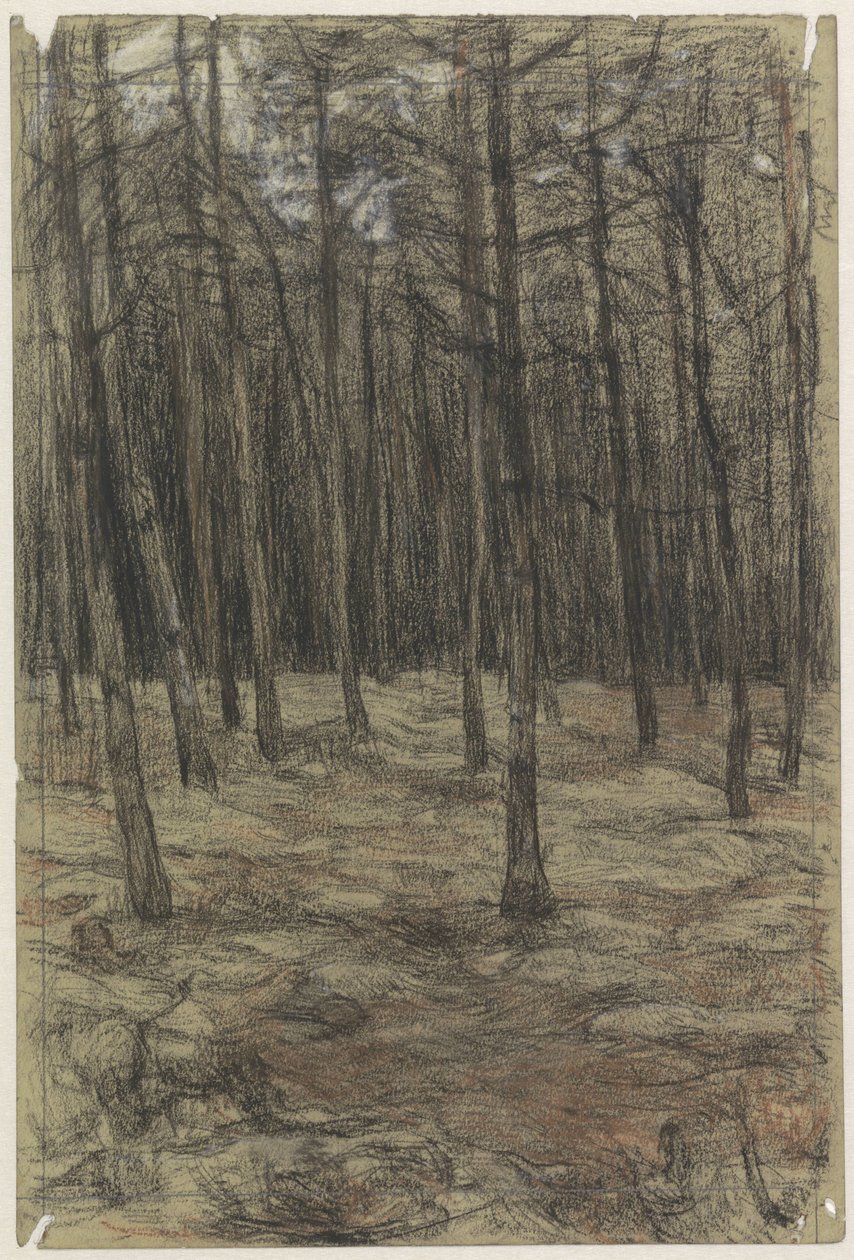 Forest Landscape by Jan Veth