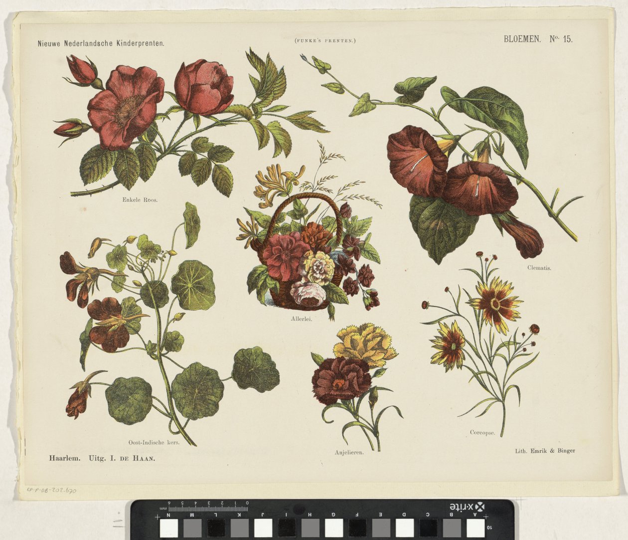Flowers by Jan de Haan