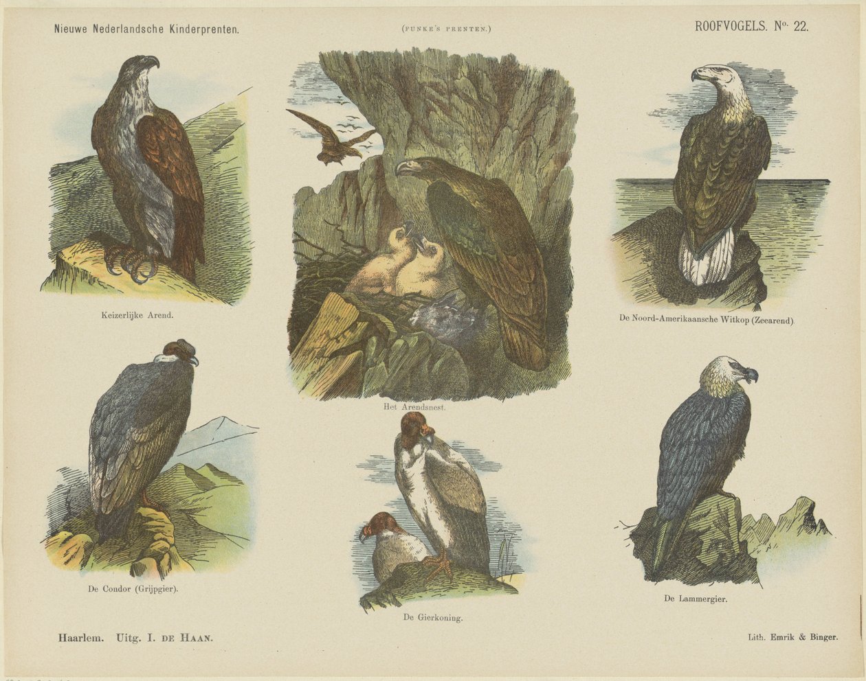 Birds of Prey by Jan de Haan