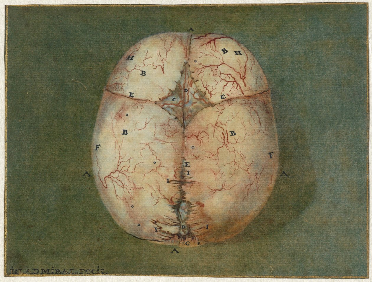 Prints of the Brain and the Heart by Jan l