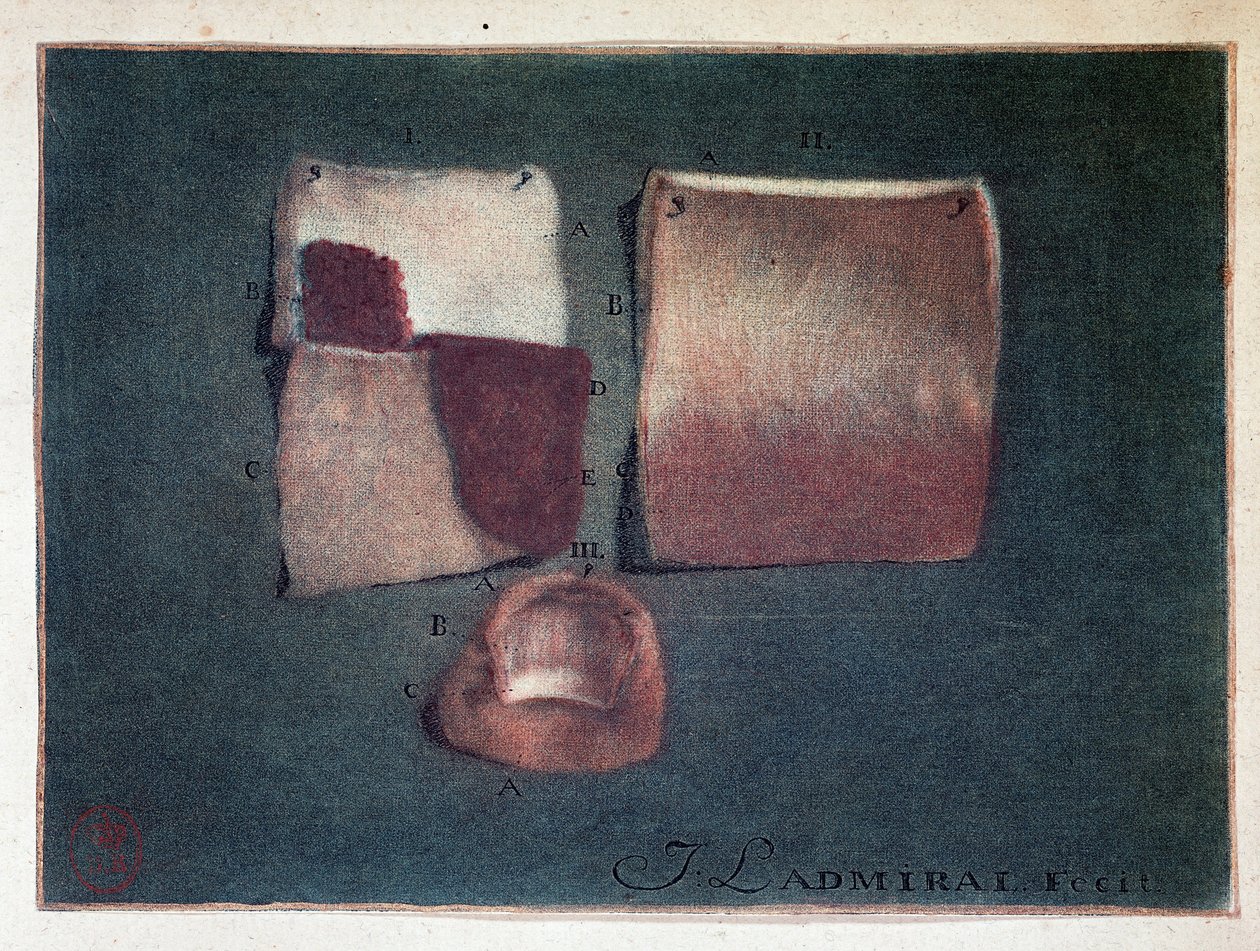 Different colors of skin, Ladmiral by Jan or Joannes Ladmiral