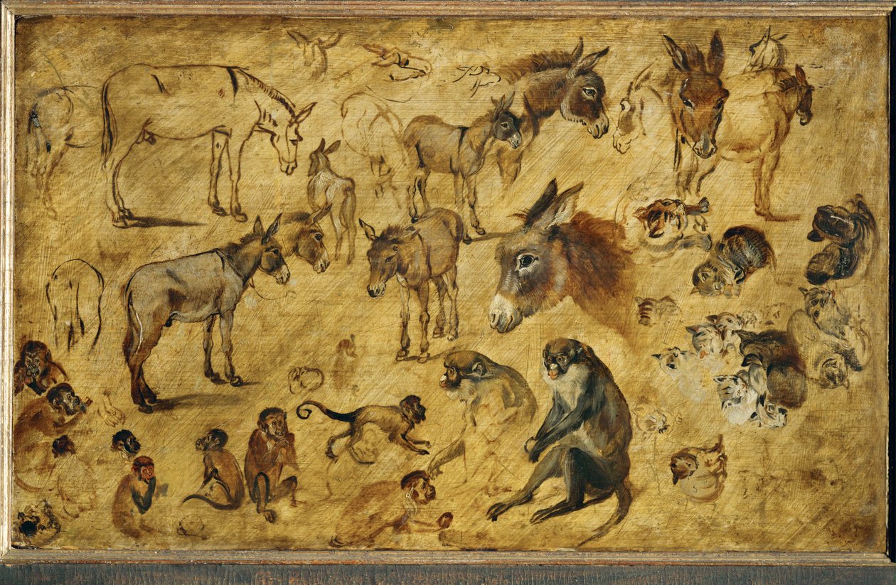 Animal Studies by Jan the Elder Brueghel