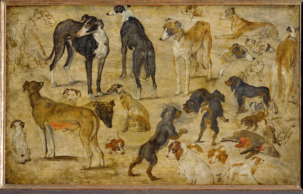 Animal Studies by Jan the Elder Brueghel