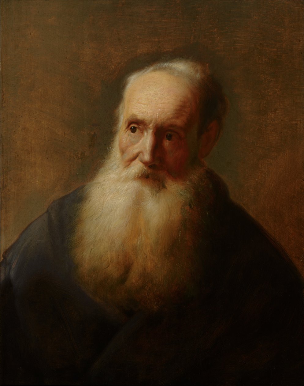 Tronie of an Old Man by Jan the Elder after Lievens