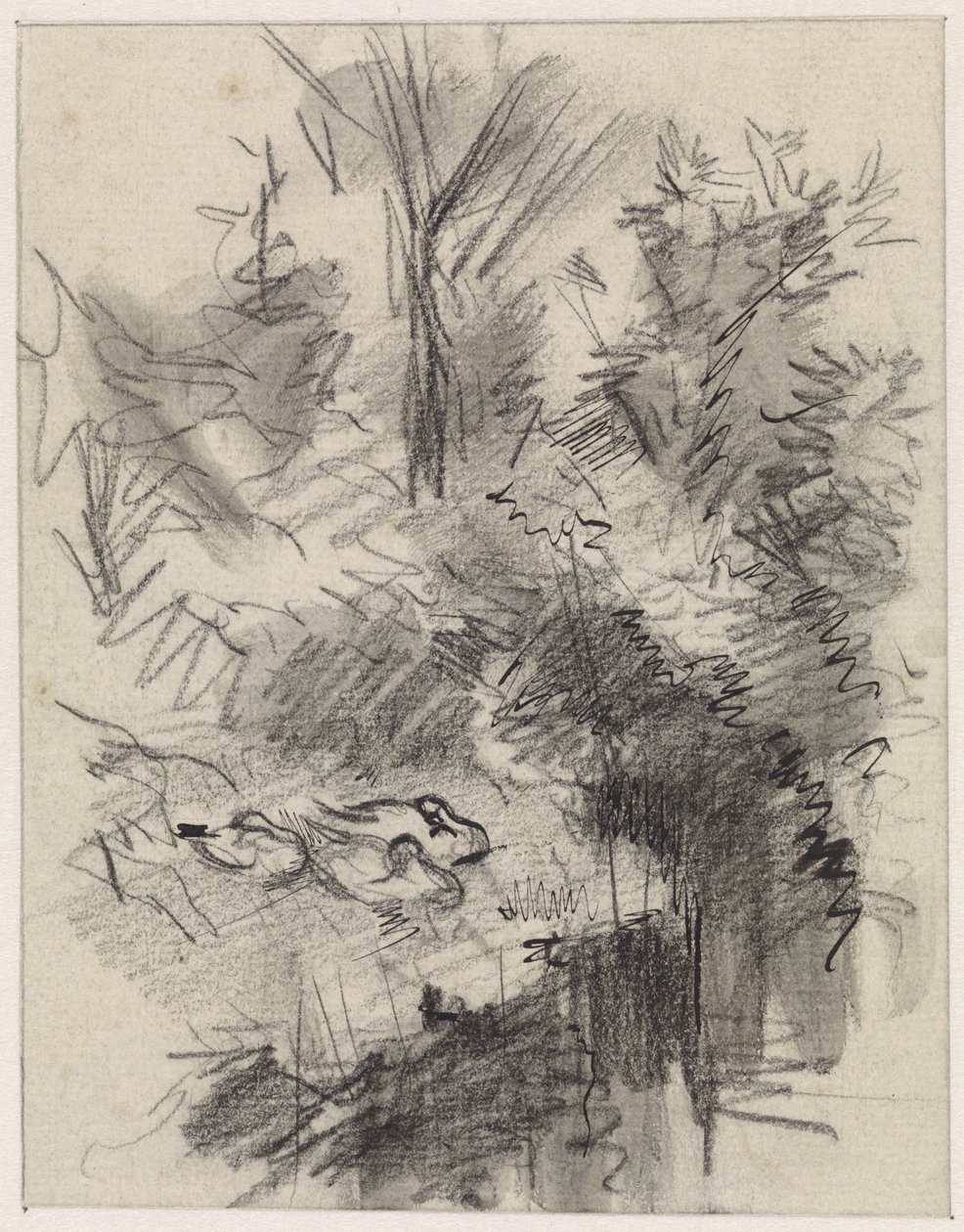 Ducks Sleeping Among Bushes by the Water by Jan van Essen