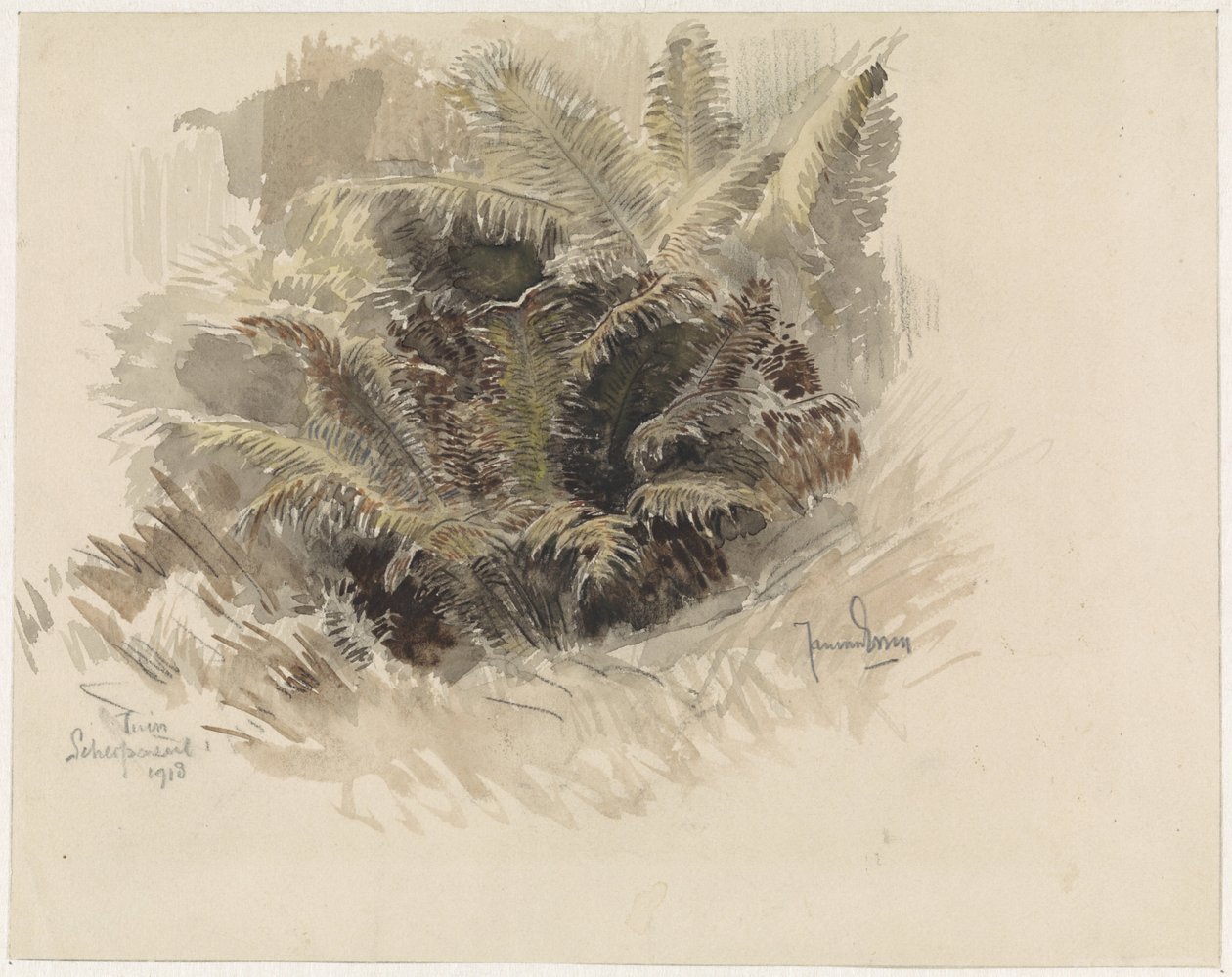 Royal Fern in a Garden in Scherpenzeel by Jan van Essen