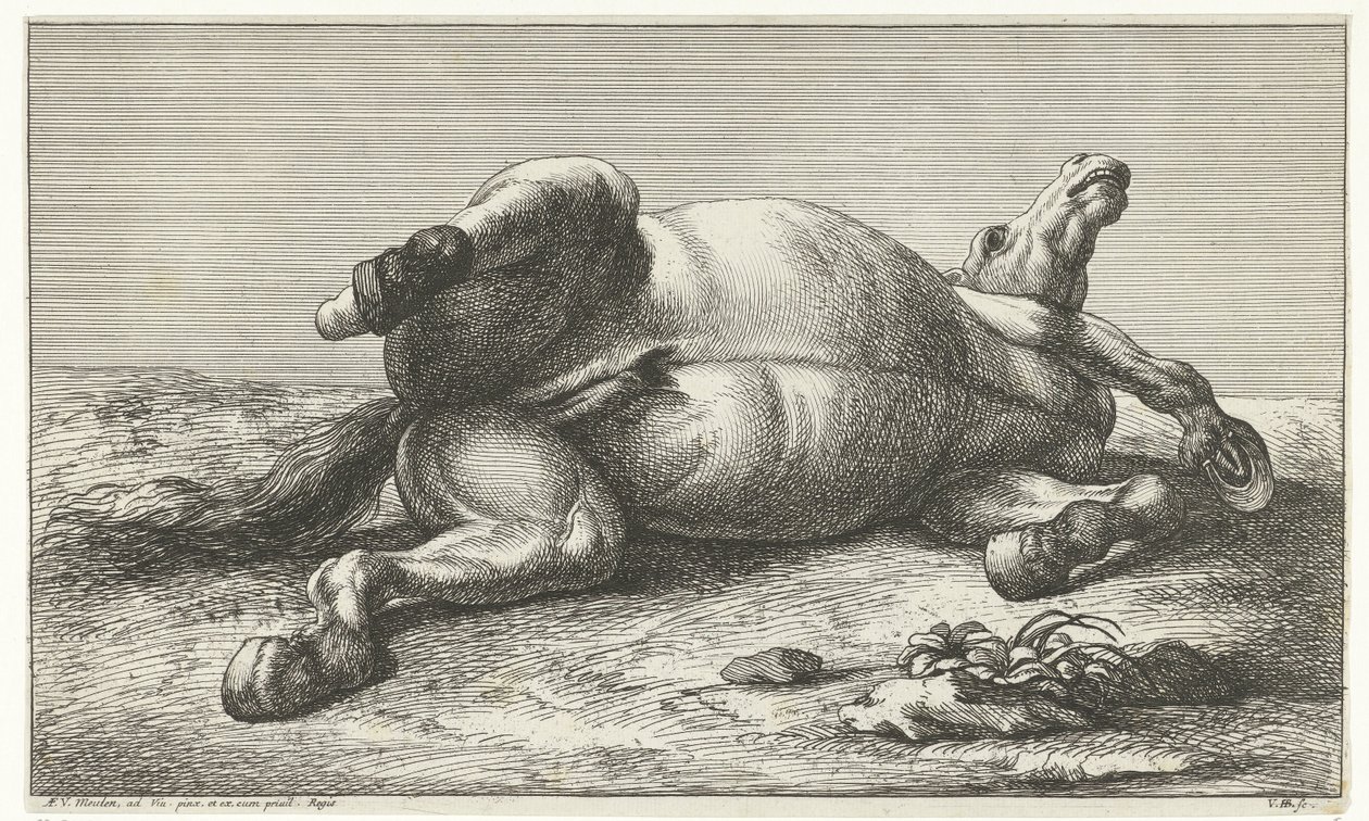 Fallen Horse Lying on Its Left Side by Jan van Huchtenburg