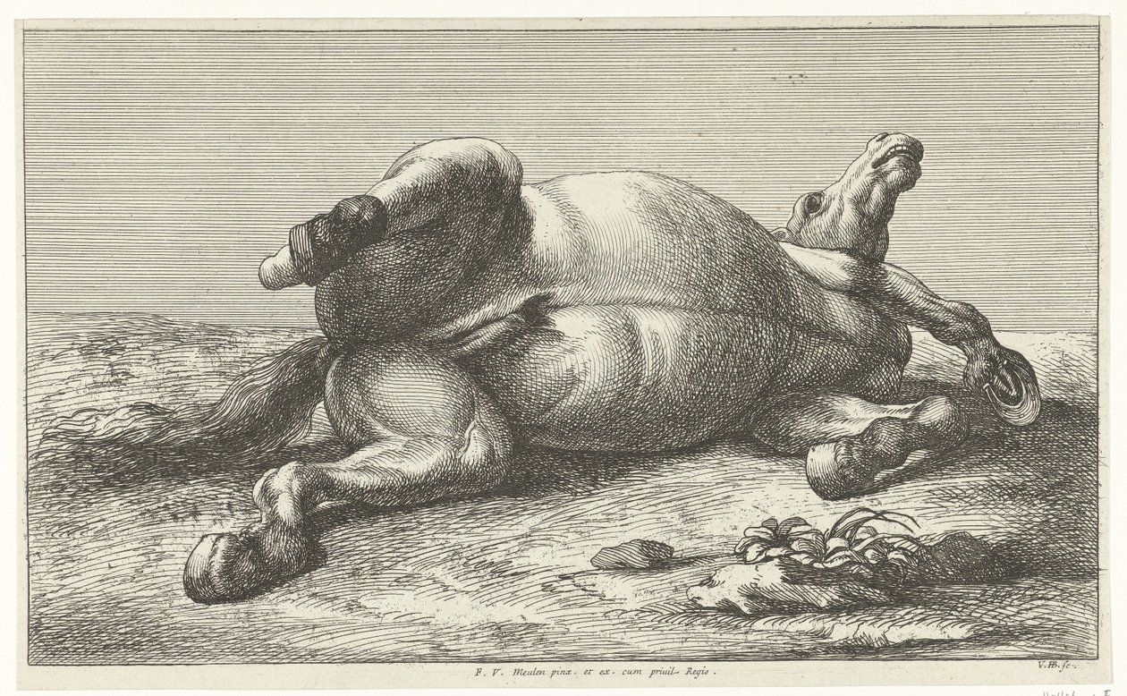 Fallen Horse Lying on Its Left Side by Jan van Huchtenburg