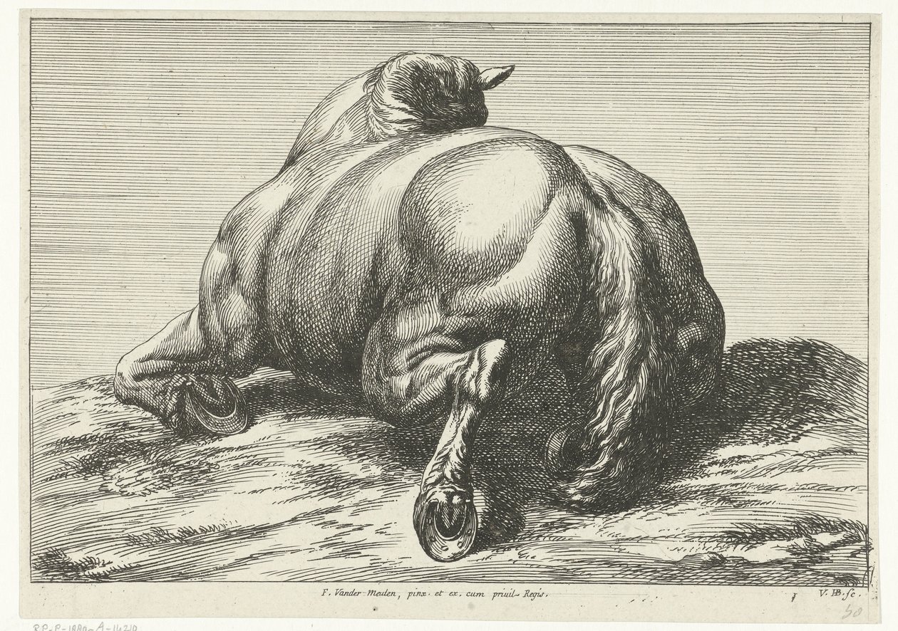 Dead Horse Seen from Behind by Jan van Huchtenburg
