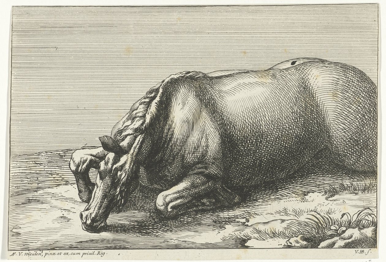 Fallen Horse on Its Left Side by Jan van Huchtenburg