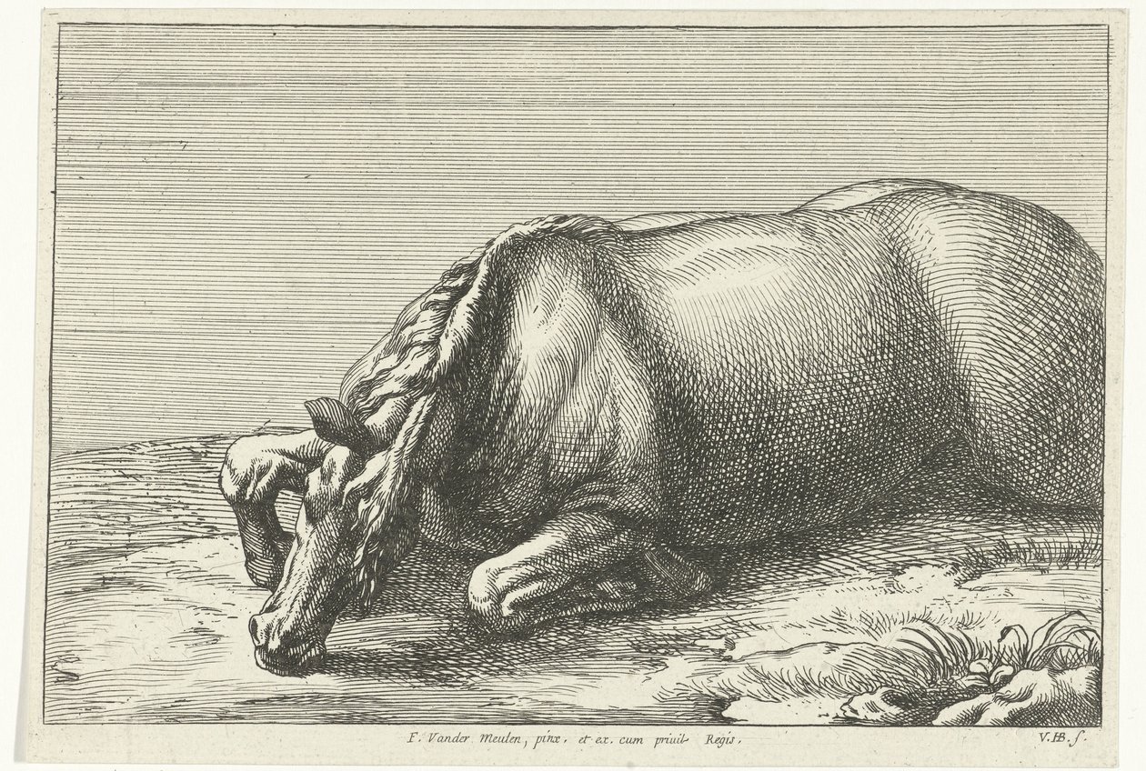 Fallen Horse Seen from the Left Side (Fallen Horses) by Jan van Huchtenburg