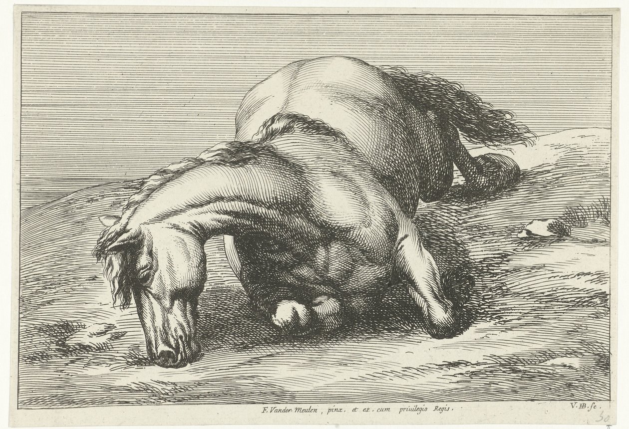 Fallen Horse Lying on Its Right Side by Jan van Huchtenburg