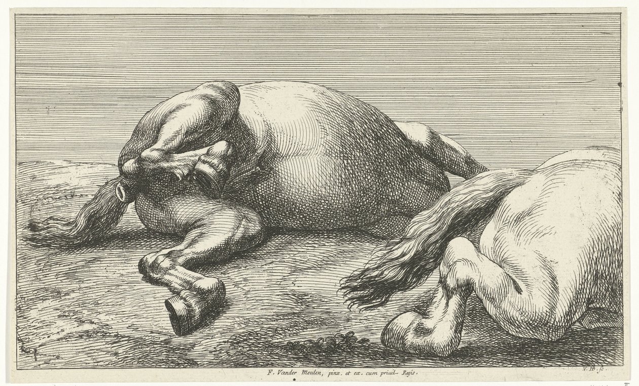 Two Fallen Horses, the Right One Seen from the Side Fallen Horses (series title) by Jan van Huchtenburg