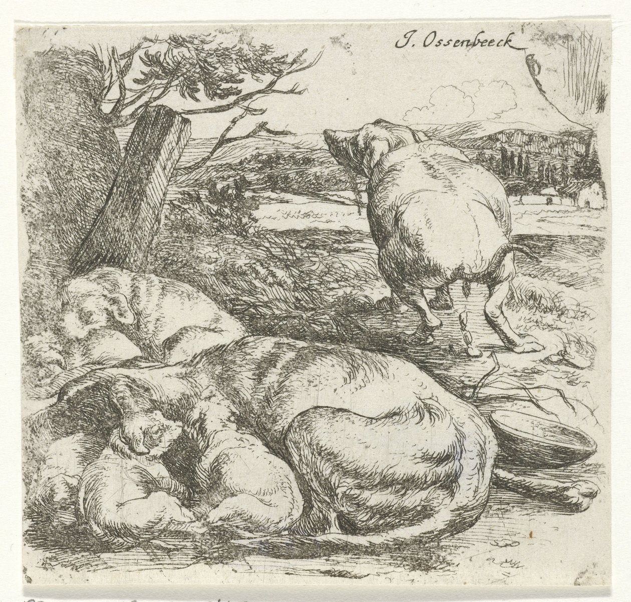 Female Dog with Puppies by Jan van Ossenbeeck