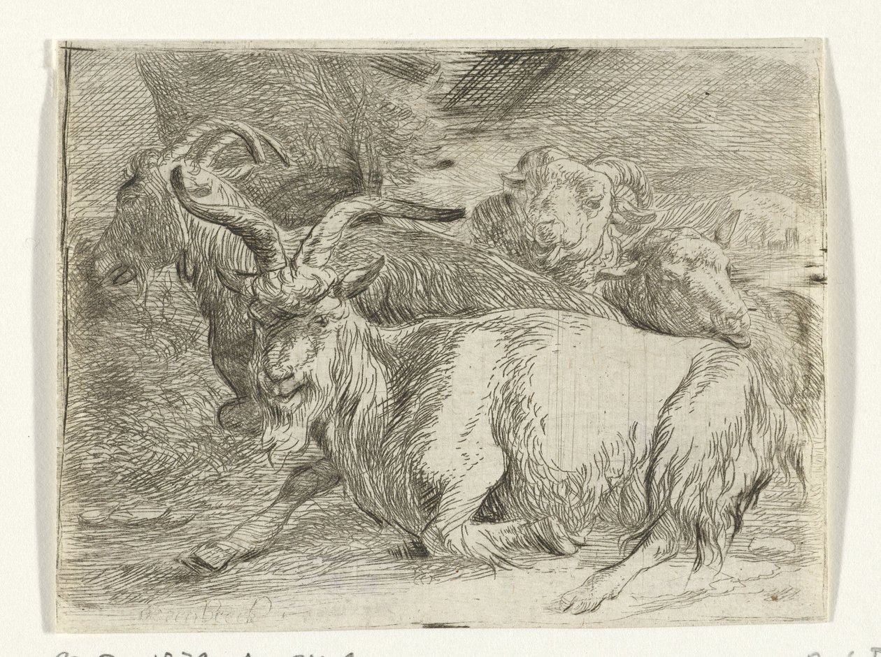 Two Goats and Two Sheep by Jan van Ossenbeeck