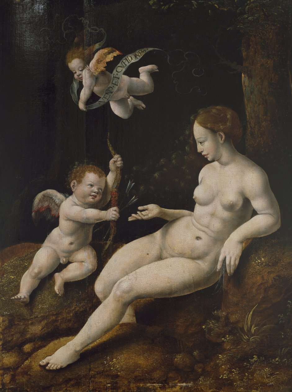 Venus and Two Cupids by Jan van Scorel