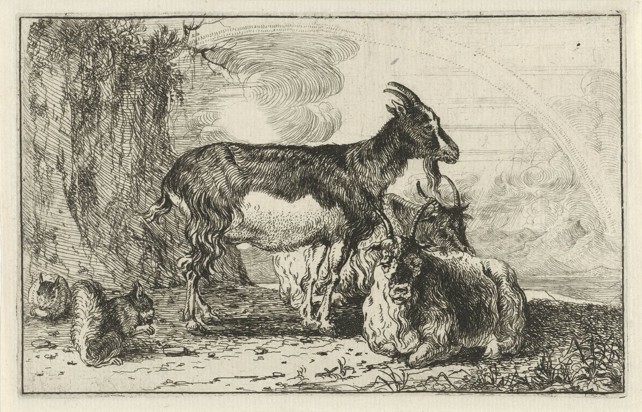 Goats (Animals) by Jan van den Hecke