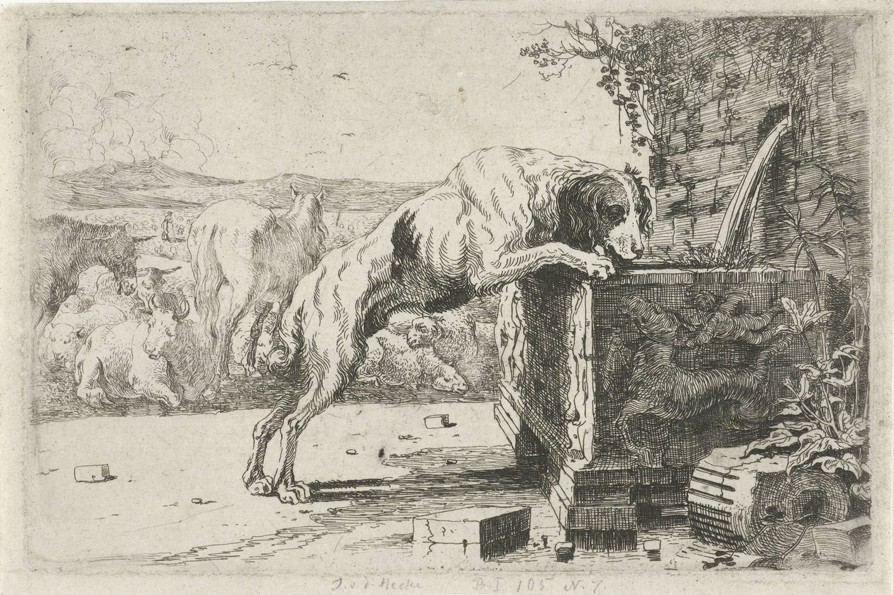 Dog by a Fountain by Jan van den Hecke
