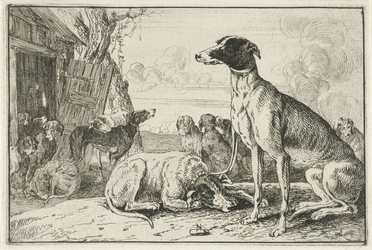 Dog Kennel (Animals) (Zoographiam) by Jan van den Hecke