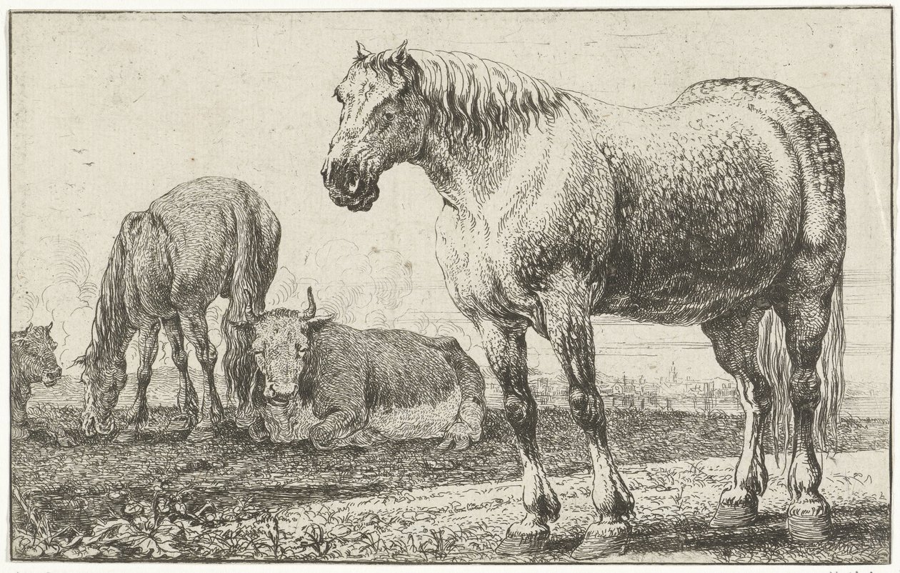 Horses and Cows (Animals) (Zoographiam) by Jan van den Hecke