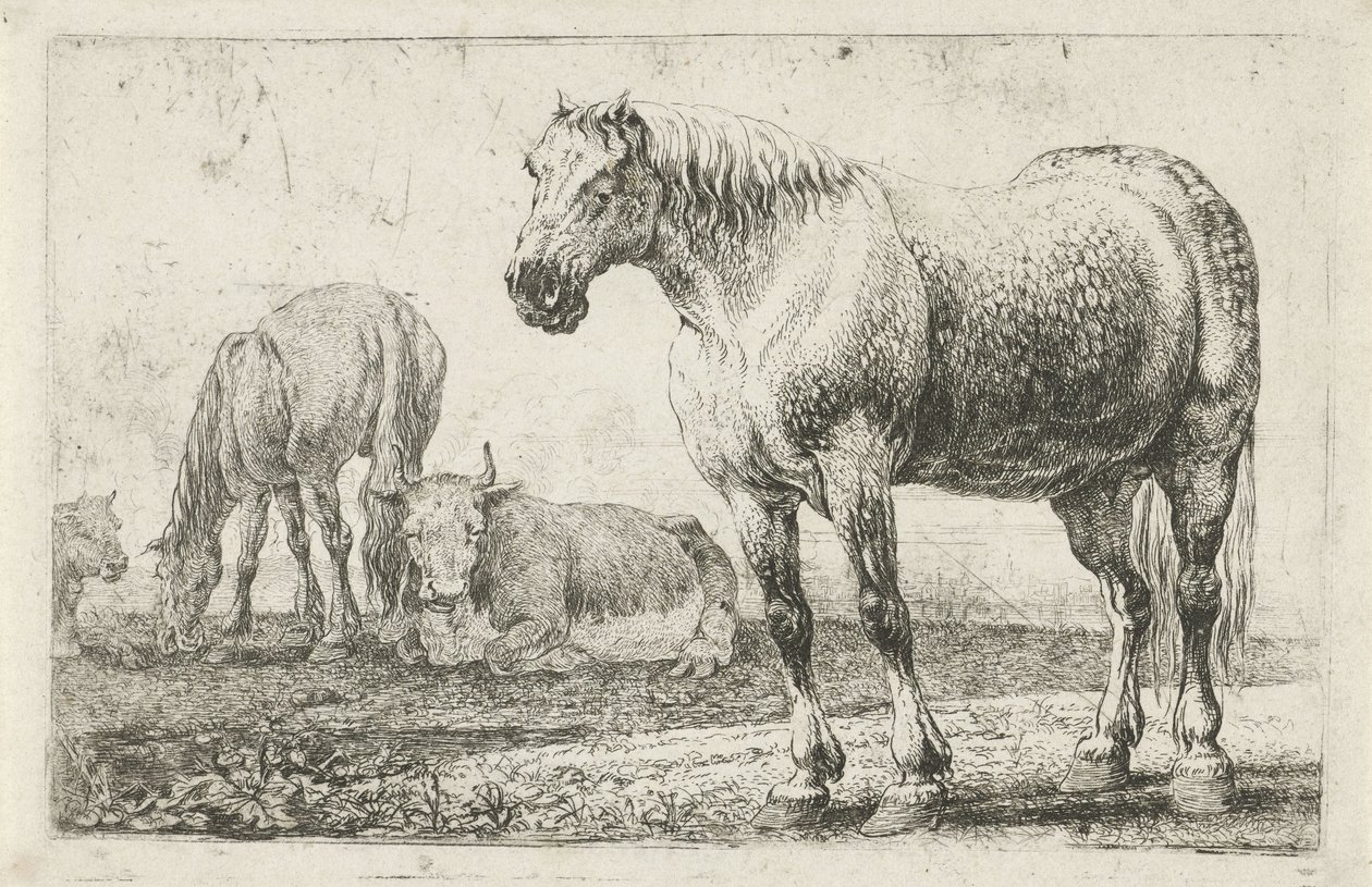 Horses and Cows (Animals) (Zoographiam) by Jan van den Hecke
