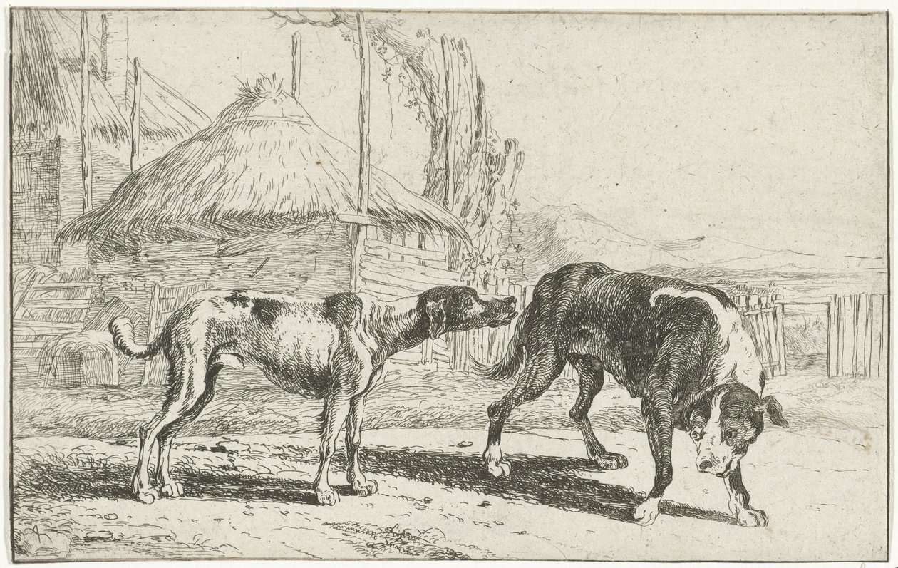 Male and Female Dog (series title: Animals) by Jan van den Hecke
