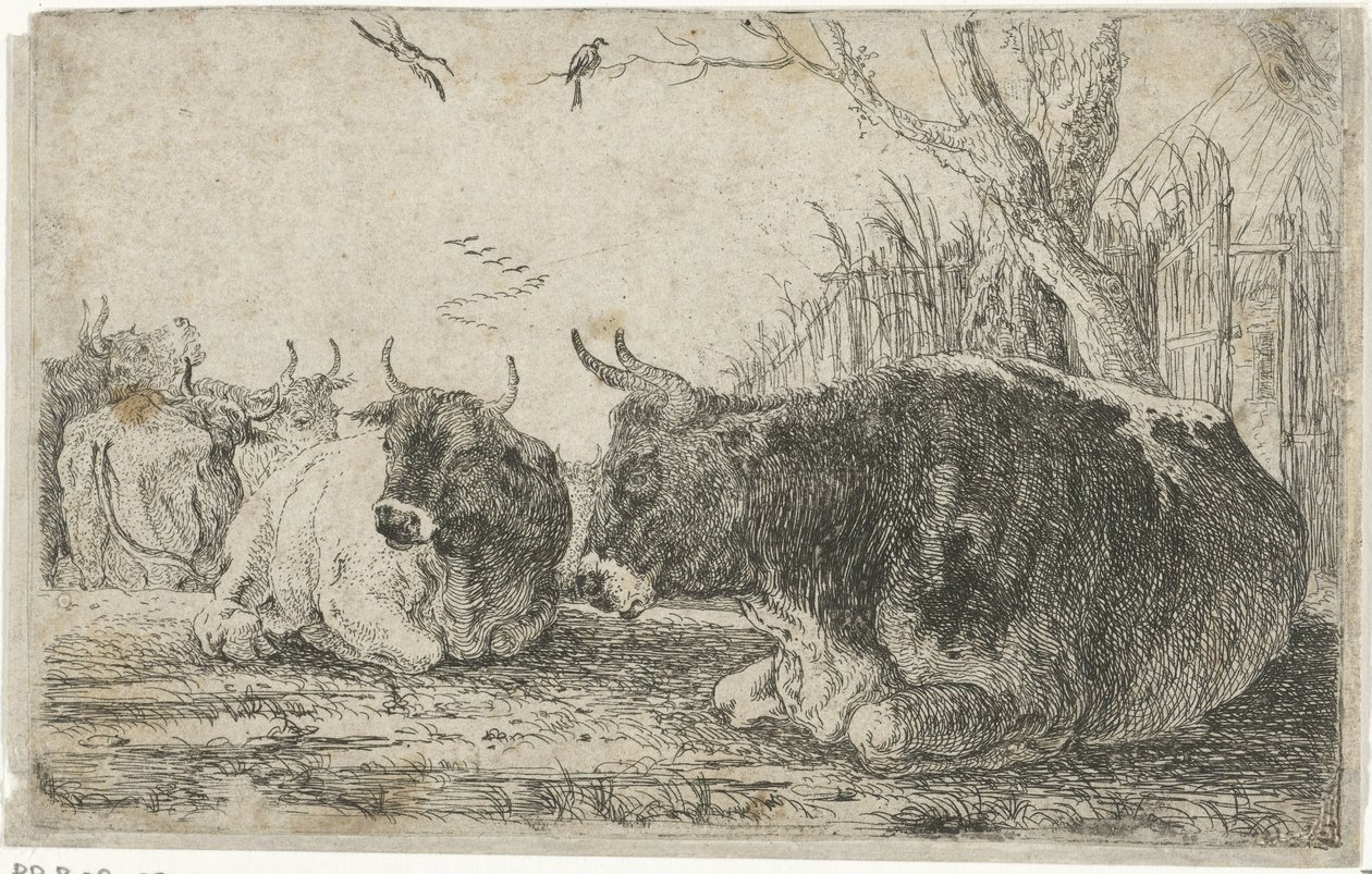 Resting Cows (Animals) (Zoographiam) by Jan van den Hecke