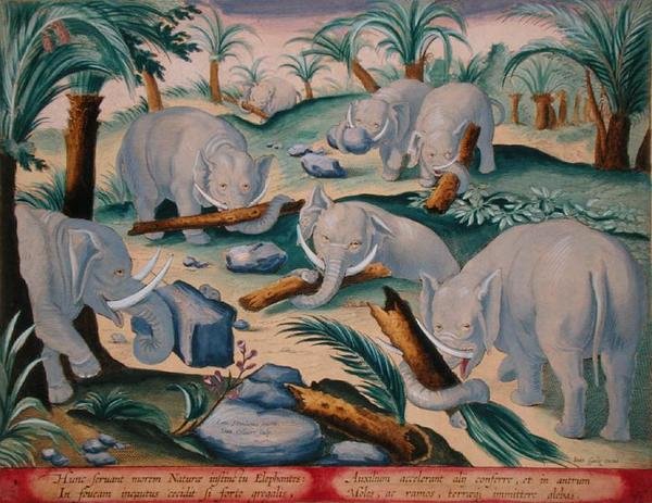 A Herd of Elephants Instinctively Build a Pit Trap, Plate 1 from 