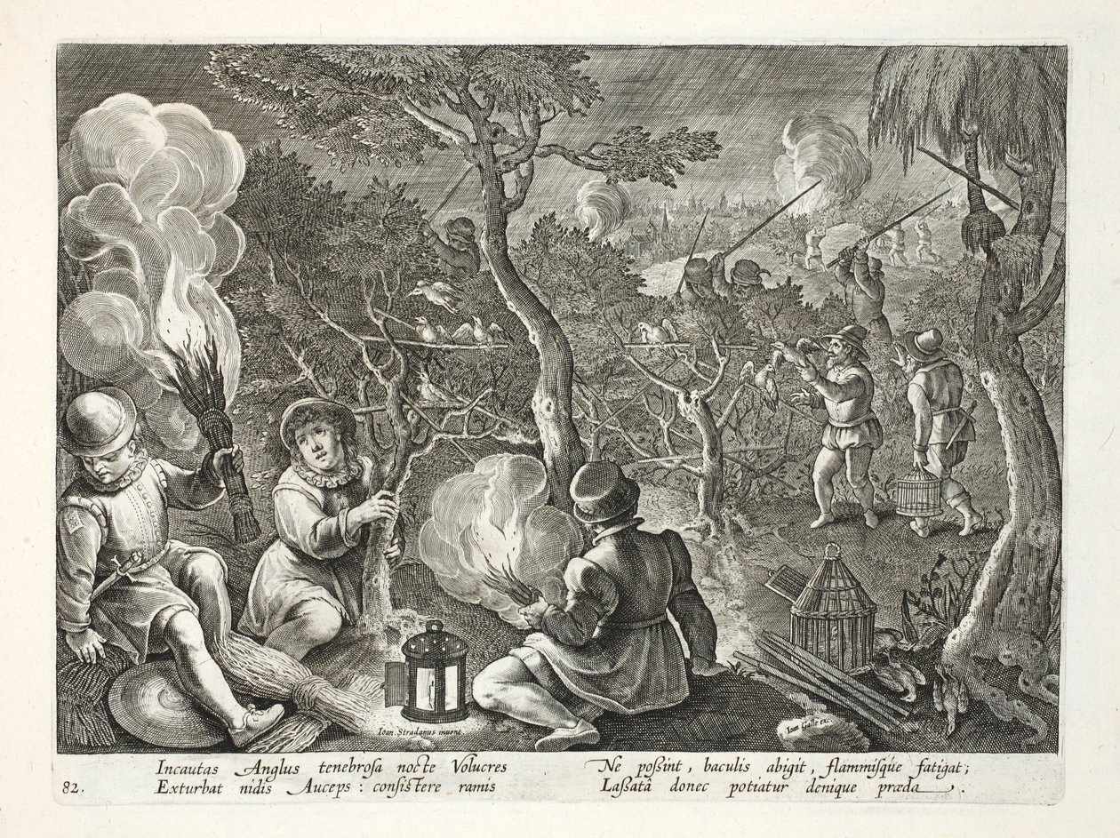 Fowlers catching birds at night, illustration from 