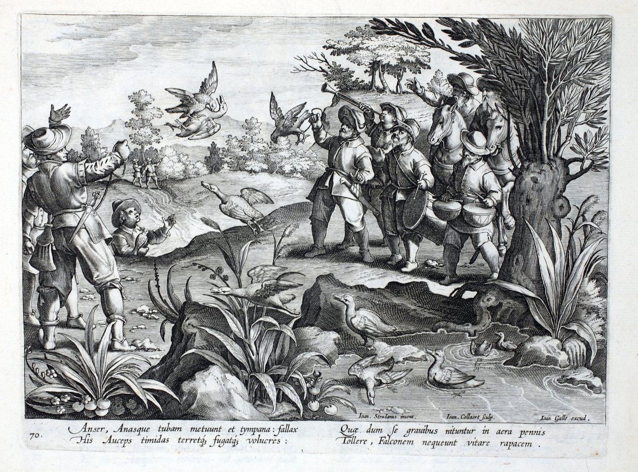 Hunters using Falcons to hunt Geese, illustration from 