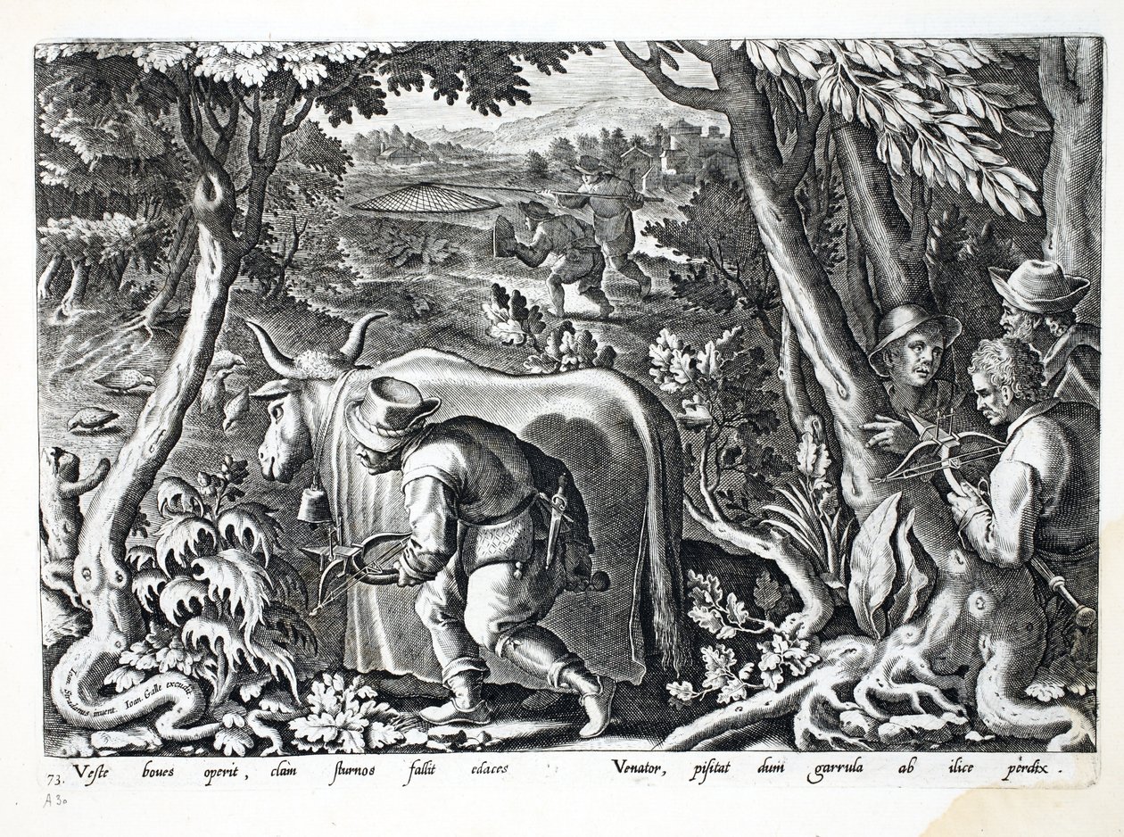 Hunting for Starlings and Partridge, Illustration from 