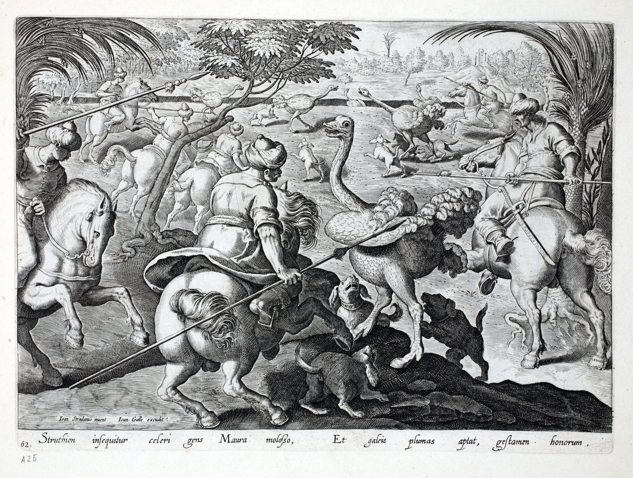 Moors on Horseback Hunting Ostriches, plate 62, illustration from 