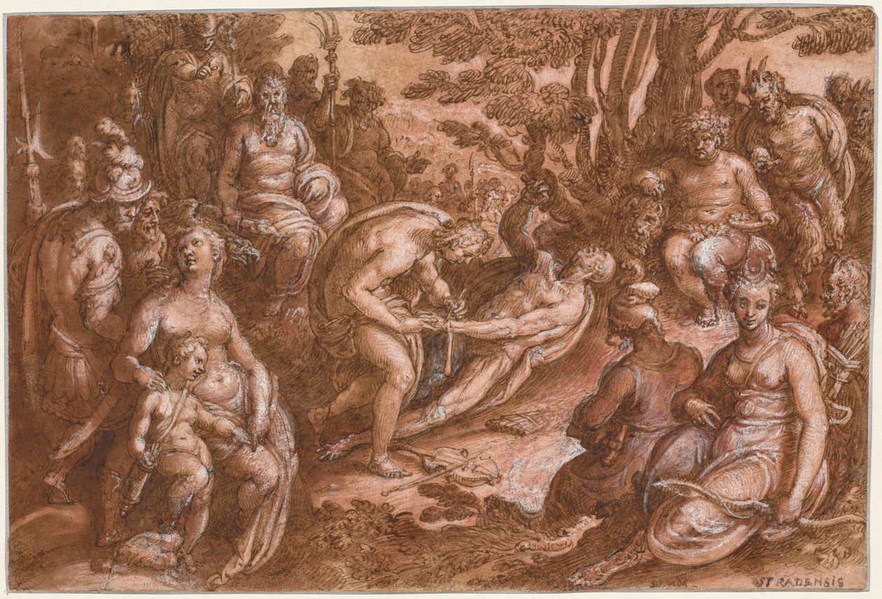 The Flaying of Marsyas by Jan van der Straet, called Johannes Stradanus