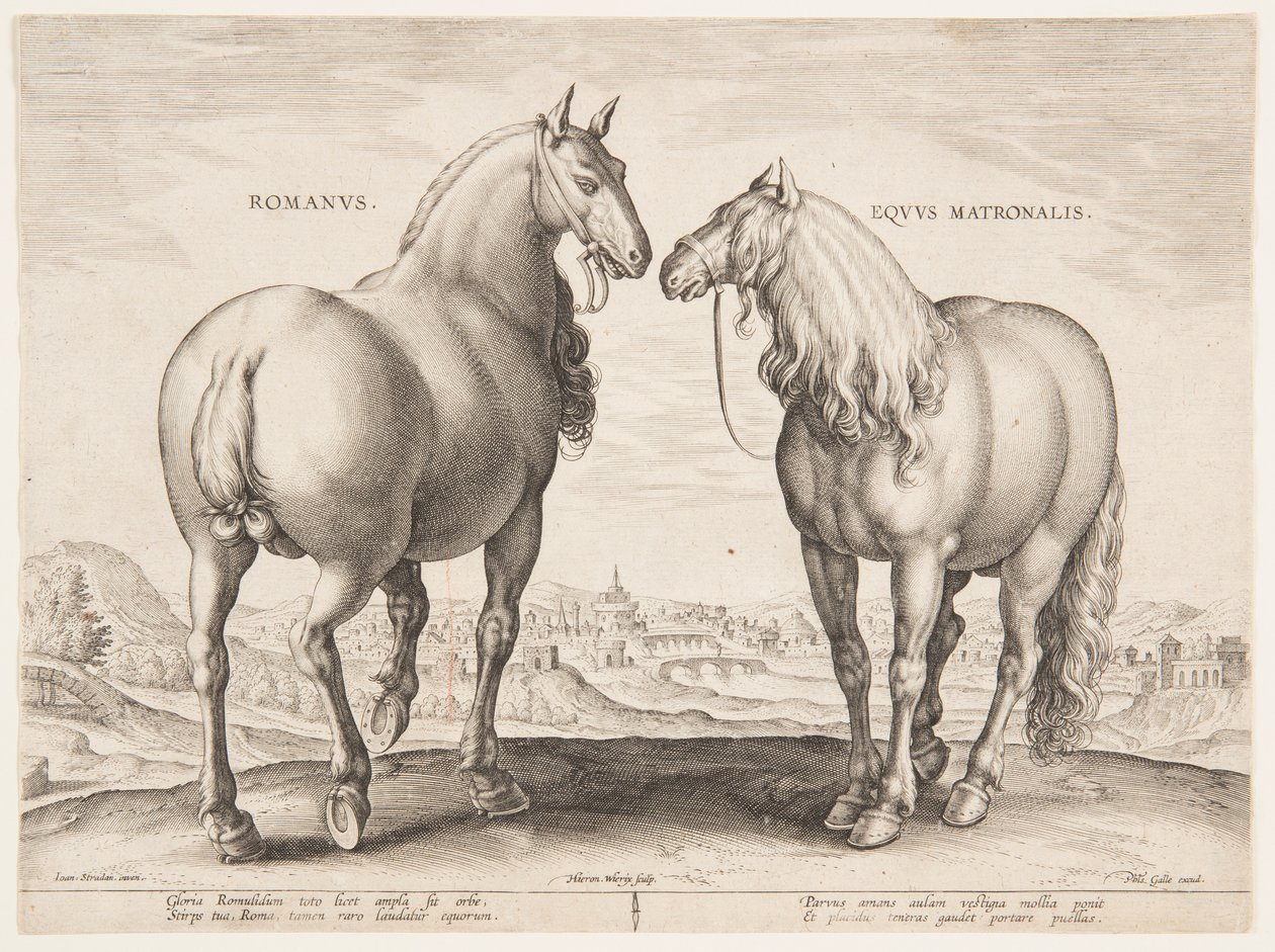A Roman Horse, from the First Set of 