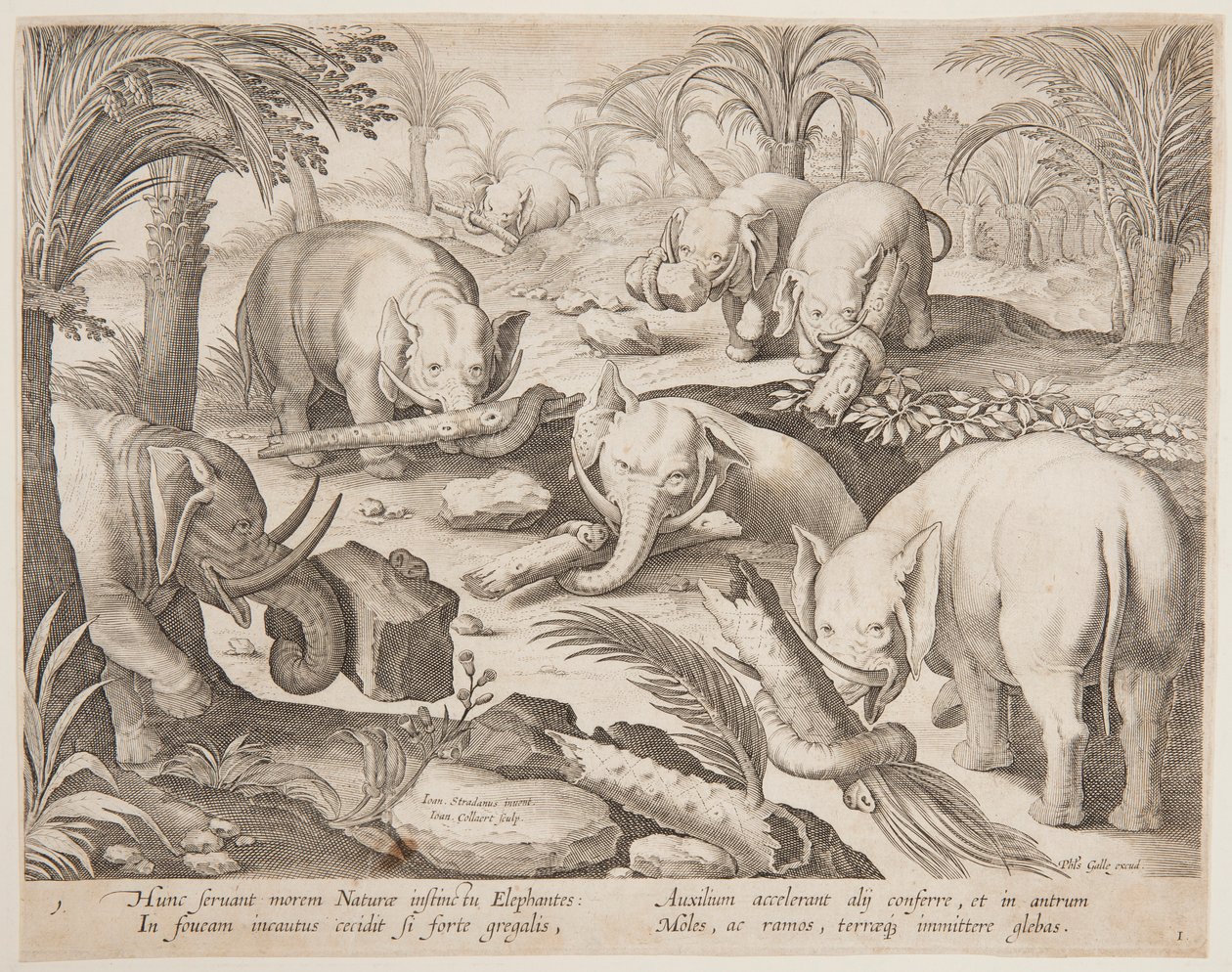 Elephants Helping Each Other out of a Trap, Plate 1 from the Venationes Ferarum, Avium, Piscium Series by Jan van der Straet, called Stradanus