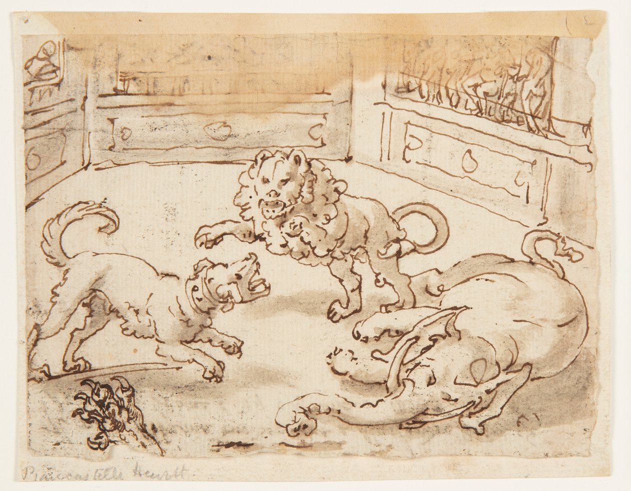 Alexander the Great watching a Fight between his Dog, and Elephant, and a Lion; inscription relating to Pliny the Elder