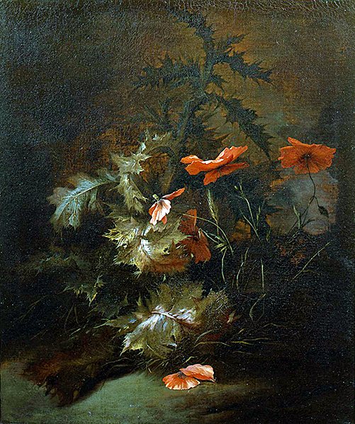 Thistles and Poppies by Jan van the Elder Kessel