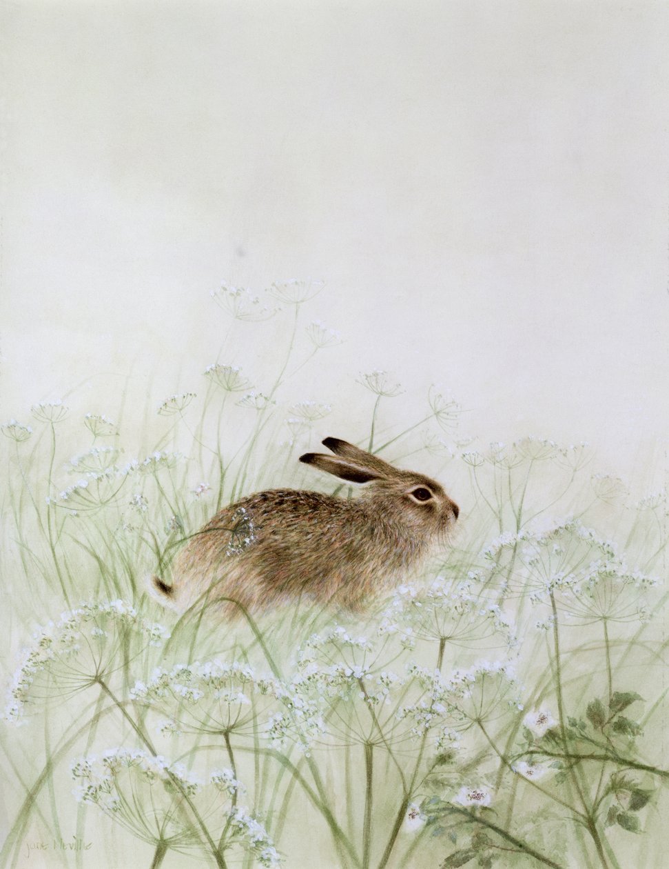 Rabbit by Jane Neville