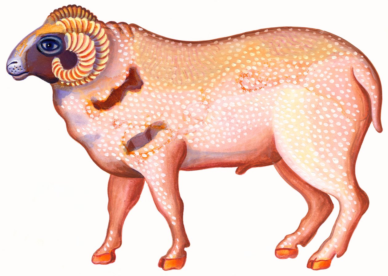 Aries the Ram by Jane Tattersfield