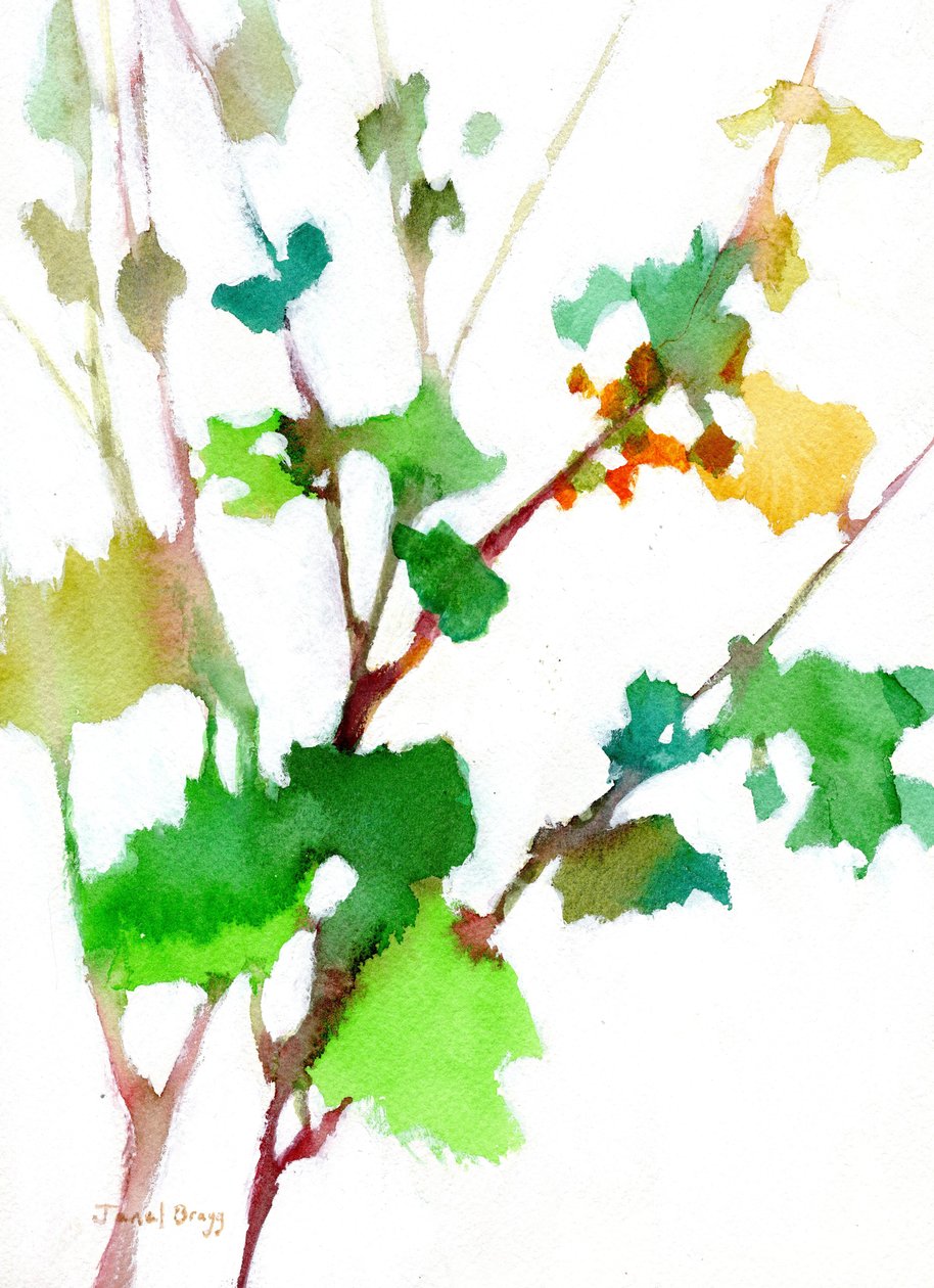 Botanical from the Courtyard, c.2023 by Janel Bragg